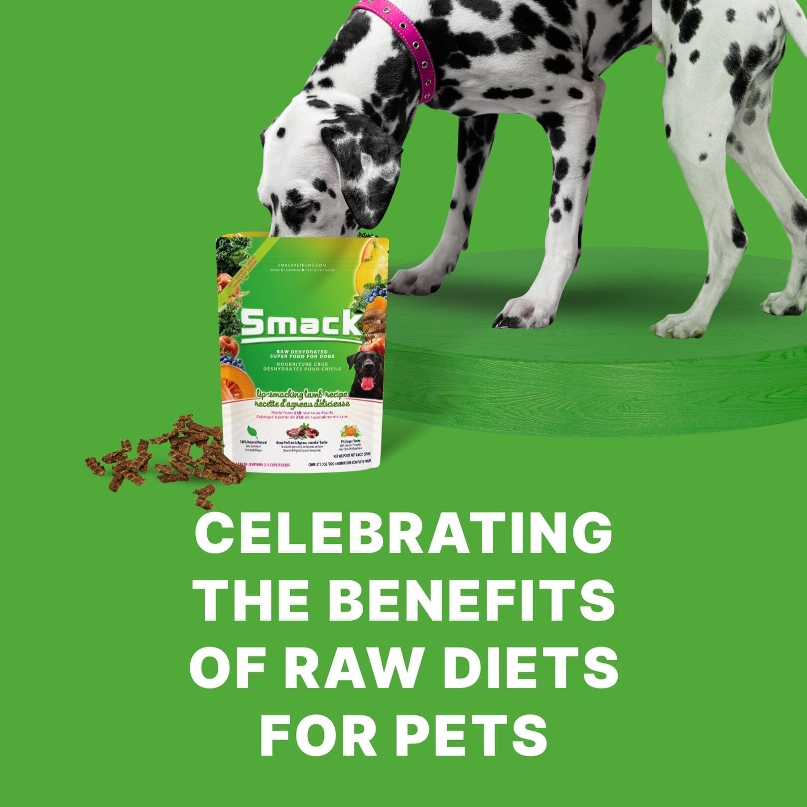 Celebrating the Benefits of Raw Food Diets for Pets