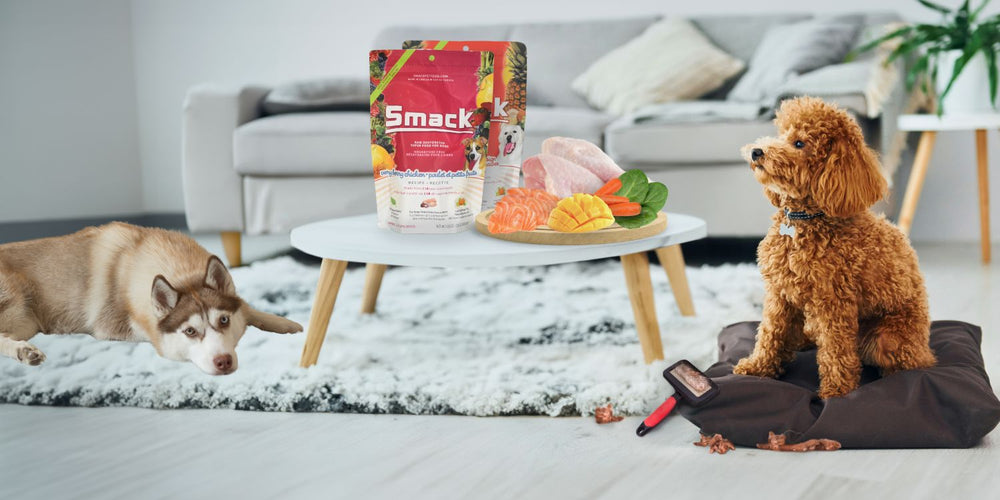 How Diet Can Help Reduce Shedding