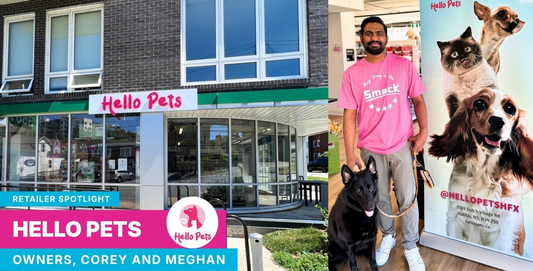Local Business Spotlight - Hello Pets