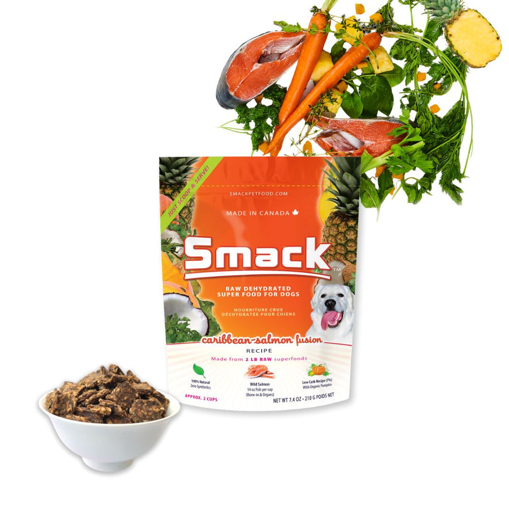 BOGO Bundle: 2x Caribbean Salmon Fusion 210g + Caribbean Salmon Fusion 210g (Dog) Crunchy Style Smack Pet Food 