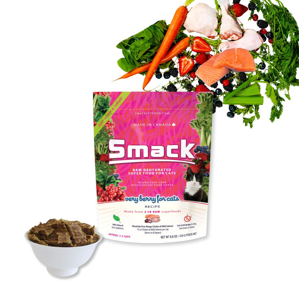 BOGO Bundle: 2x Very Berry for Cats 250g + Very Berry for Cats 250g (Cat) Crunchy Style Smack Pet Food 