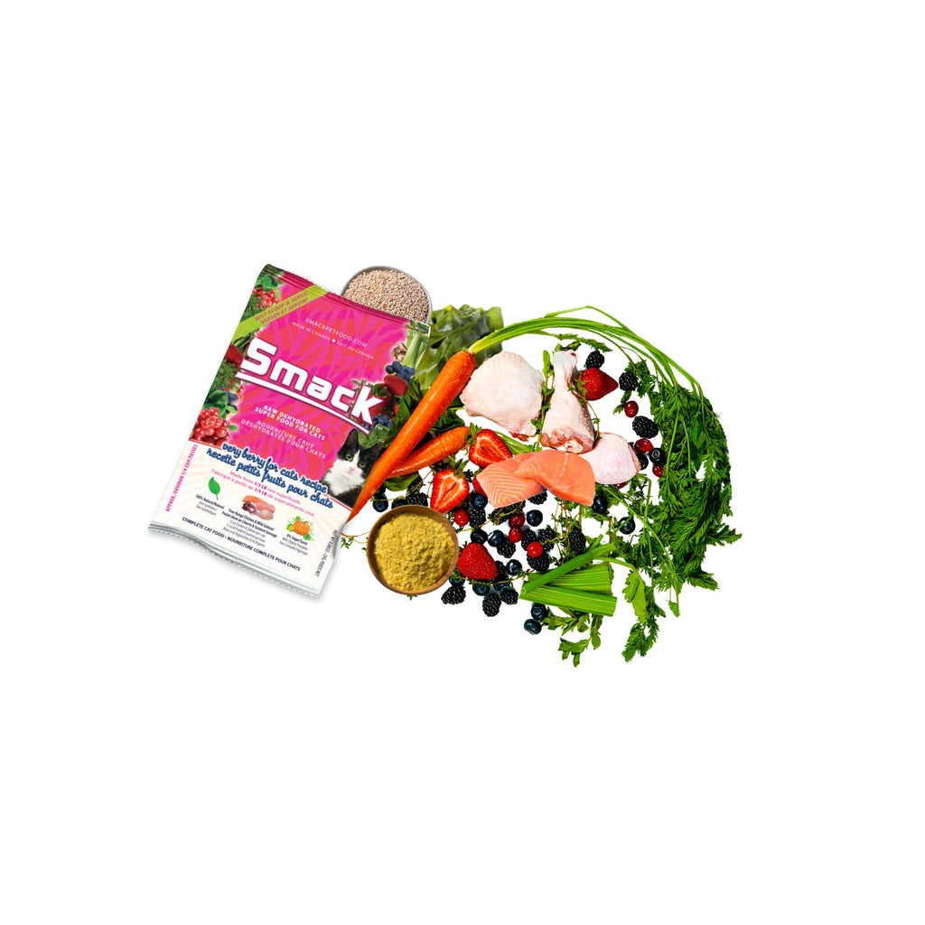 Sample Variety Pack for Cats Crunchy Style Smack Pet Food 