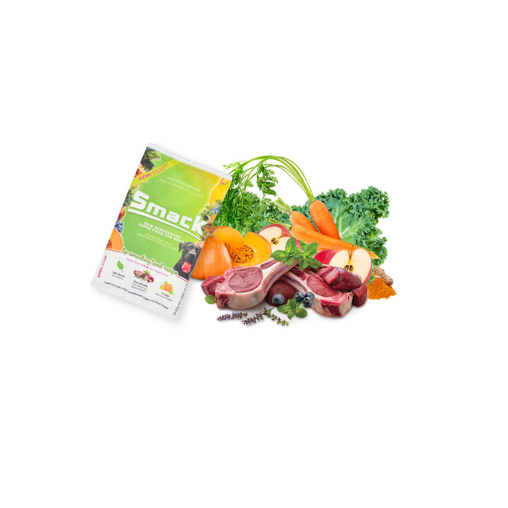Sample Variety Pack for Dogs Crunchy Style Smack Pet Food 