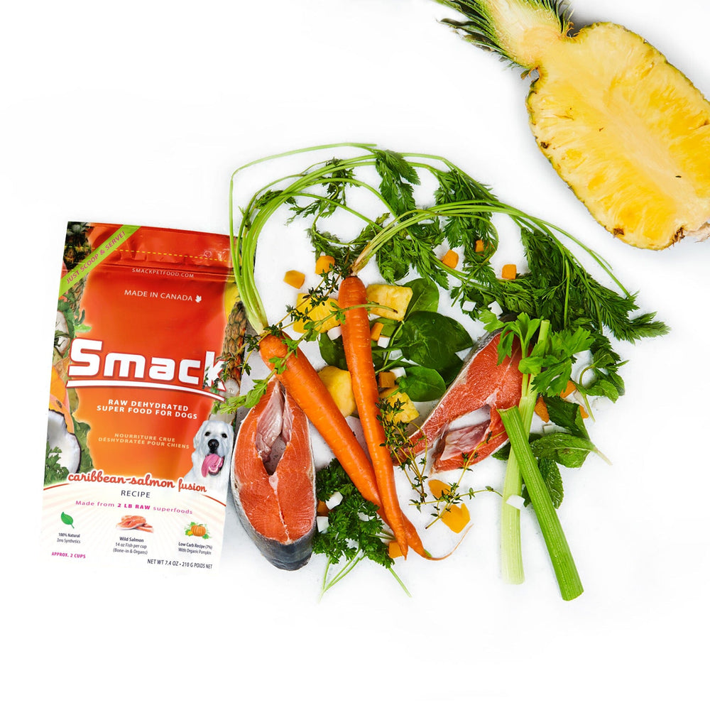 Caribbean-Salmon Fusion (DOG) Crunchy Style Smack Pet Food 
