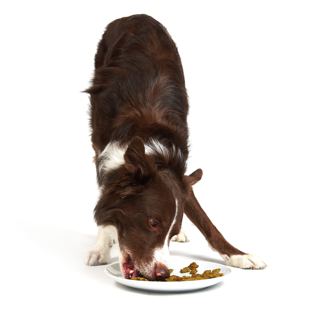 Chunky Chicken (DOG) Crunchy Style Smack Pet Food 