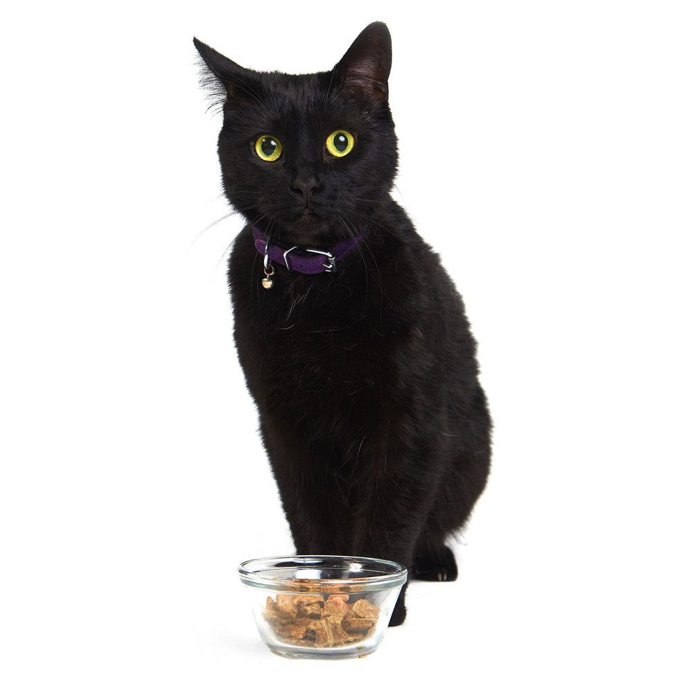 Pacific Fish Feast (CAT) Crunchy Style Smack Pet Food 