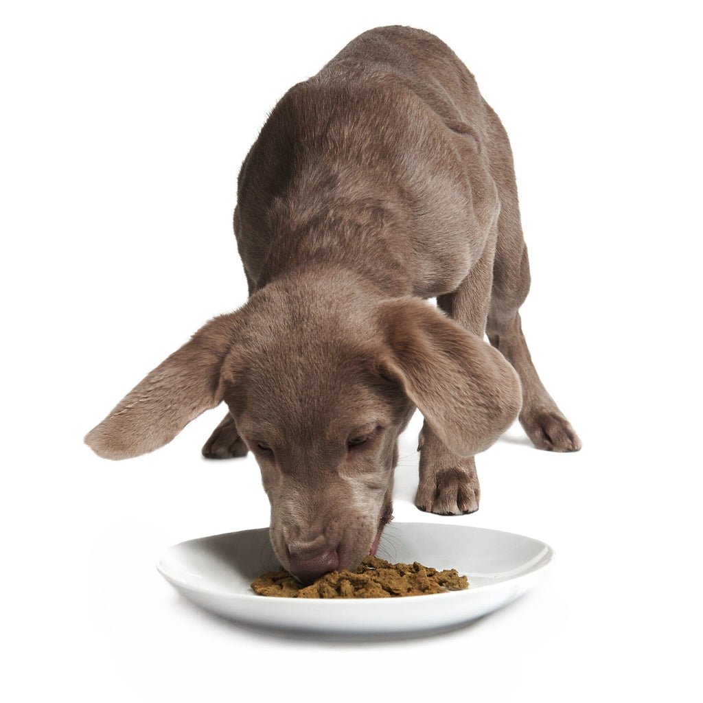 Rockin' Rockfish (DOG) Crunchy Style Smack Pet Food 