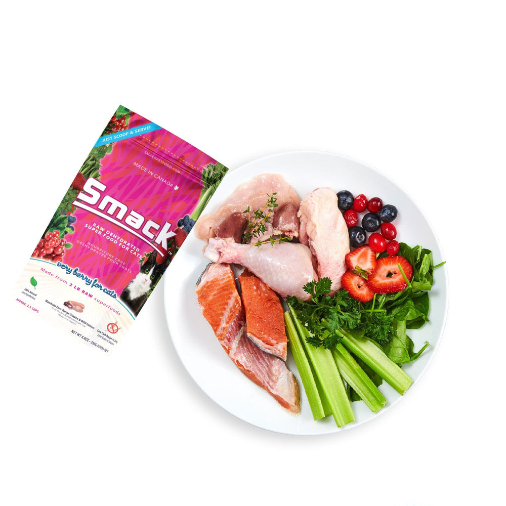 Sample Variety Pack for Cats Crunchy Style Smack Pet Food 