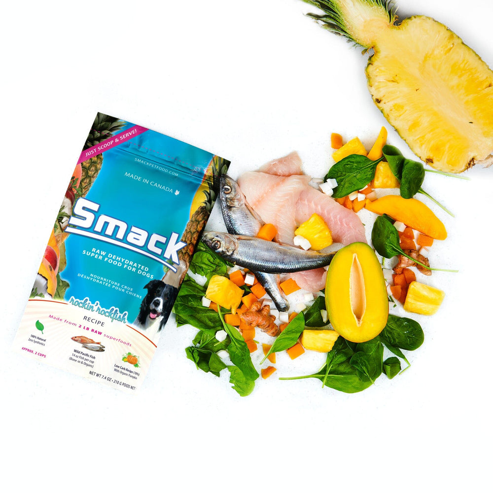Sample Variety Pack for Dogs Crunchy Style Smack Pet Food 