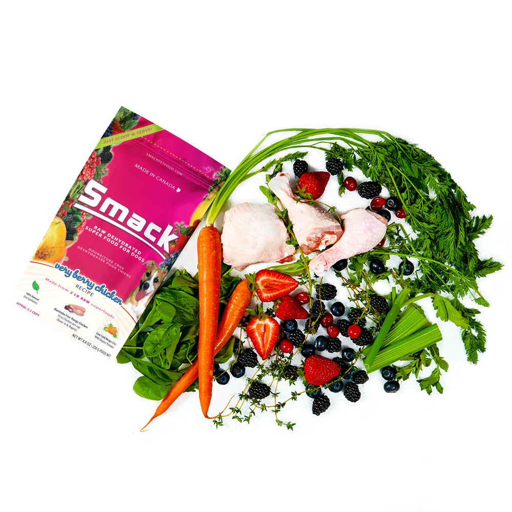 Sample Variety Pack for Dogs Crunchy Style Smack Pet Food 