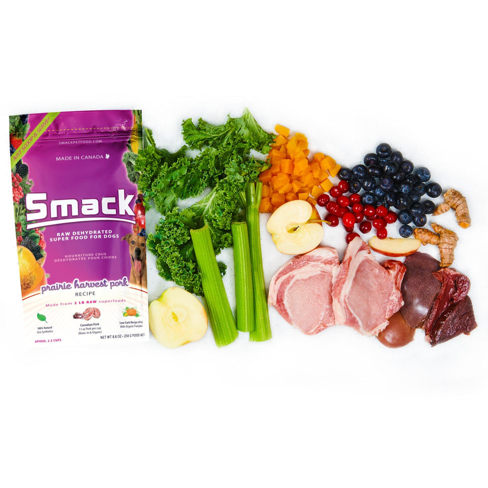 Sample Variety Pack for Dogs Crunchy Style Smack Pet Food 