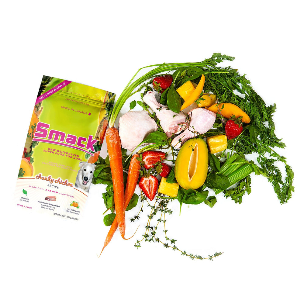 Sample Variety Pack for Dogs Crunchy Style Smack Pet Food 